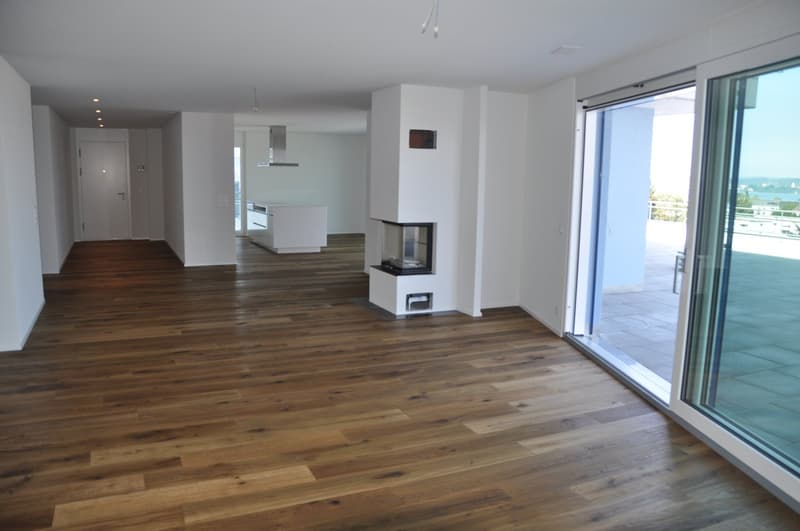 Terrassen Wohnung mit Blick auf den See in Kreuzlingen (3)