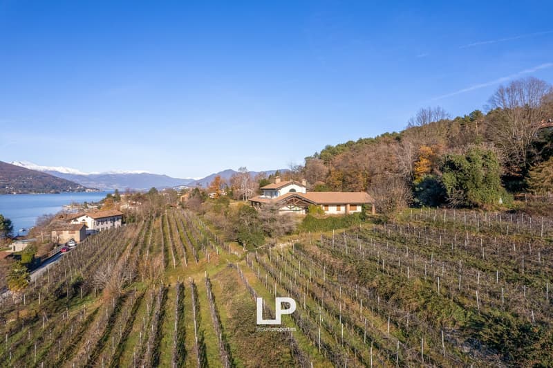 The image shows a scenic landscape with a vineyard on a hillside overlooking a lake. There are several buildings and structures visible, surrounded by trees and mountains in the background. The vineyard rows are clearly visible, indicating this is a winer