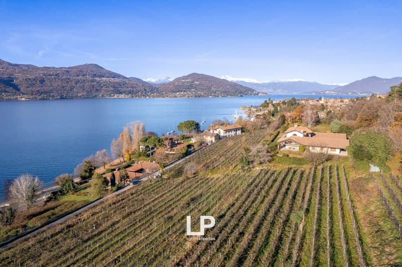 The image shows a scenic view of a lakeside town surrounded by rolling hills and vineyards. The town is situated along the shores of a large lake, with mountains visible in the background. The landscape features rows of grape vines, indicating the presenc