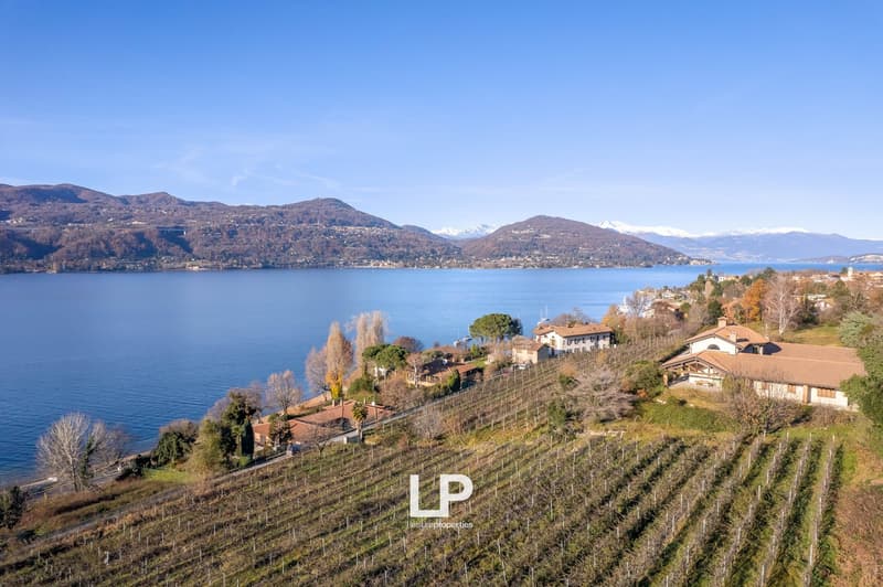 The image shows a scenic view of a lake surrounded by mountains and hills. There are vineyards and buildings visible on the slopes overlooking the lake. The landscape appears to be in a mountainous region with a clear blue sky.