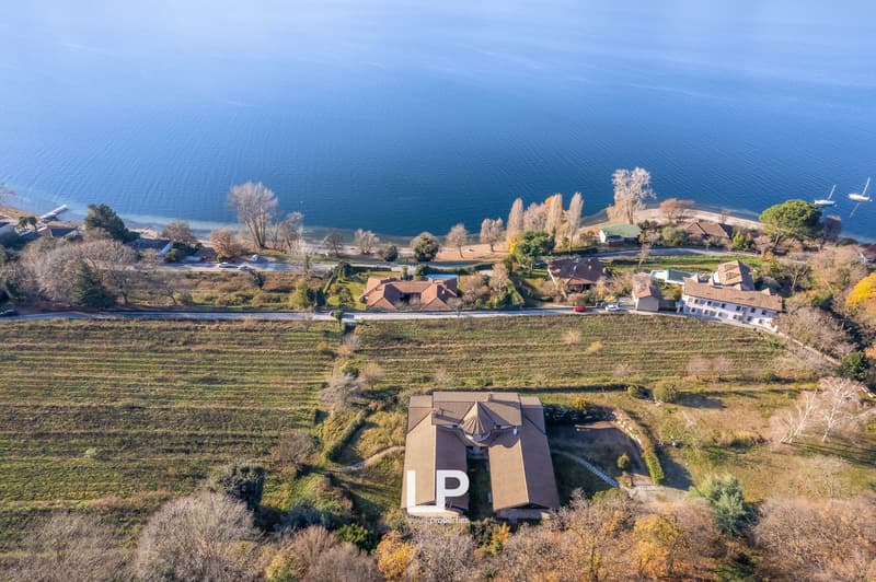 Aerial view of a residential area near a large body of water, with houses, trees, and fields visible. The image shows a scenic lakeside or coastal setting with a mix of residential and natural elements.
