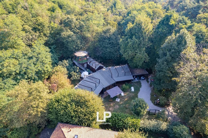 Villa in Sesto Calende (25)