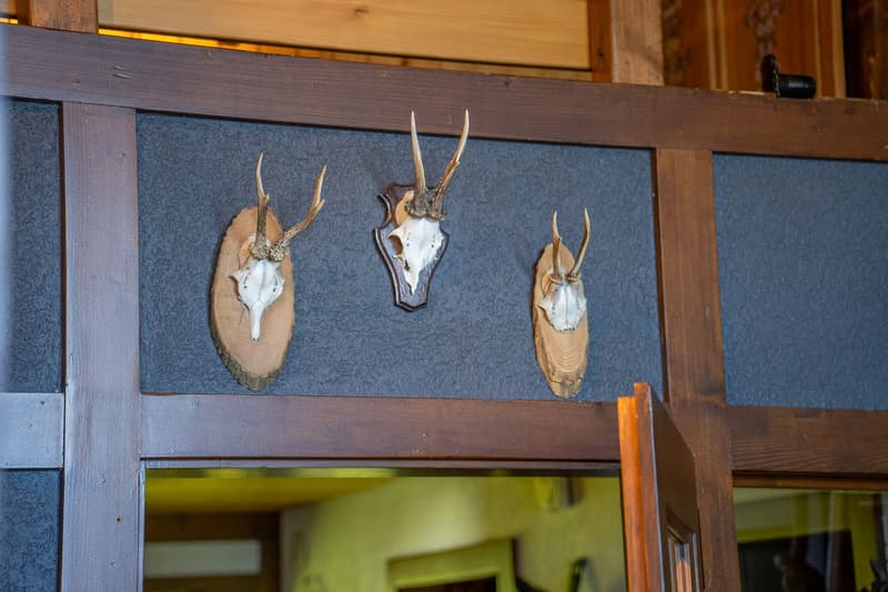 Appartement mansarde Rübezahl (12)