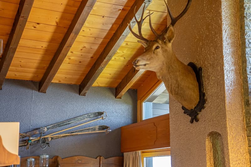 Appartement mansarde Rübezahl (10)