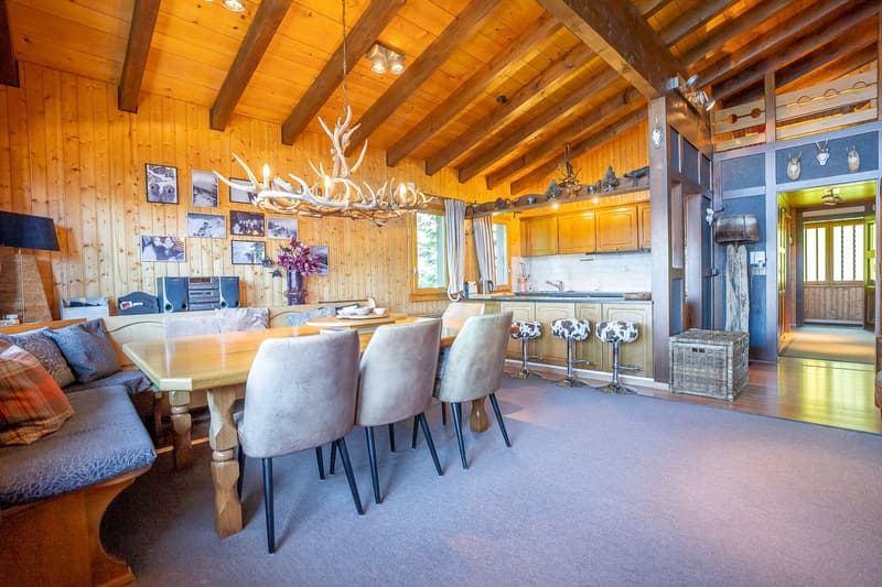 Appartement mansarde Rübezahl (8)