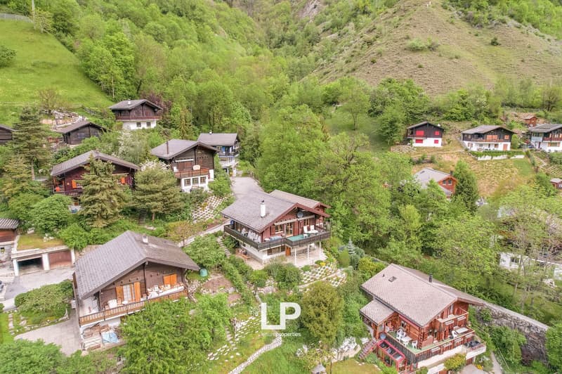 Chalet Castanea is a 5-bedroom chalet in the heart of Mörel-Filet's green nature. (2)