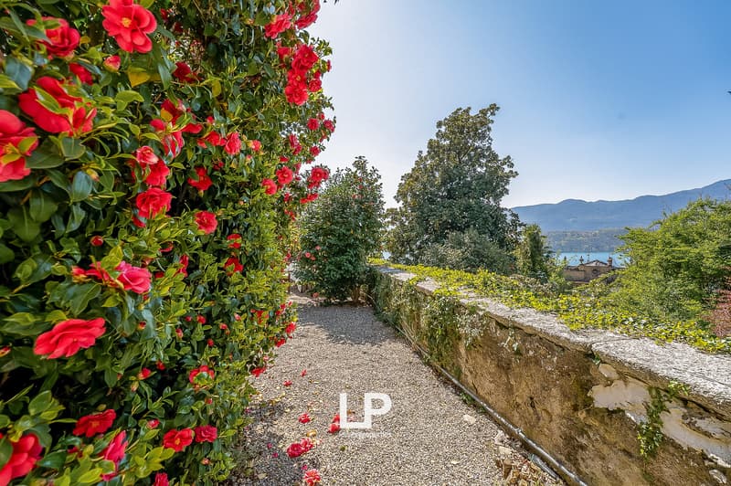 Villa in Orta San Giulio (11)