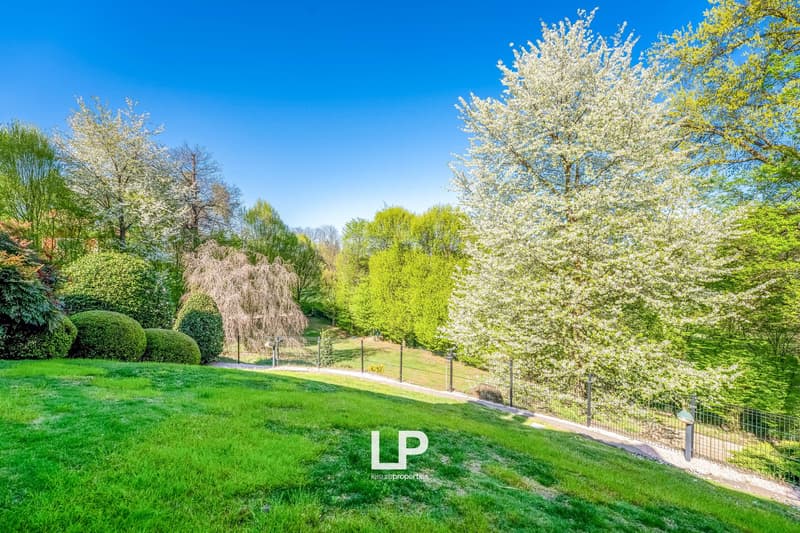 Lush green lawn, blooming cherry blossom trees, landscaped garden with shrubs and bushes, winding path, blue sky with no clouds
