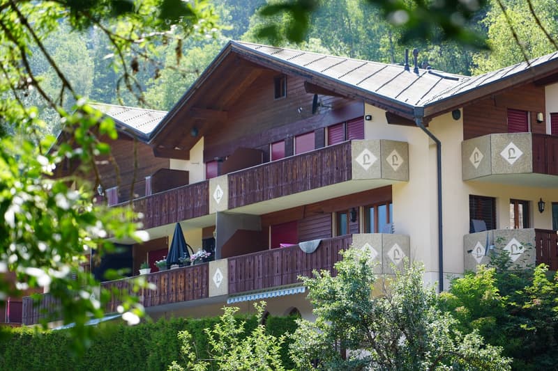 Appartement studio confortable à Fiesch avec vue sur les montagnes (2)
