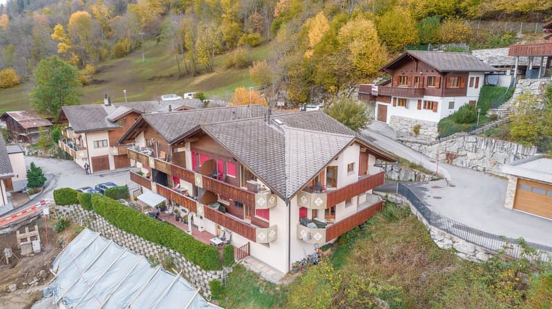 Charmant appartement 1 pièce à vendre à Fiesch - Lehrastrasse 16 (2)