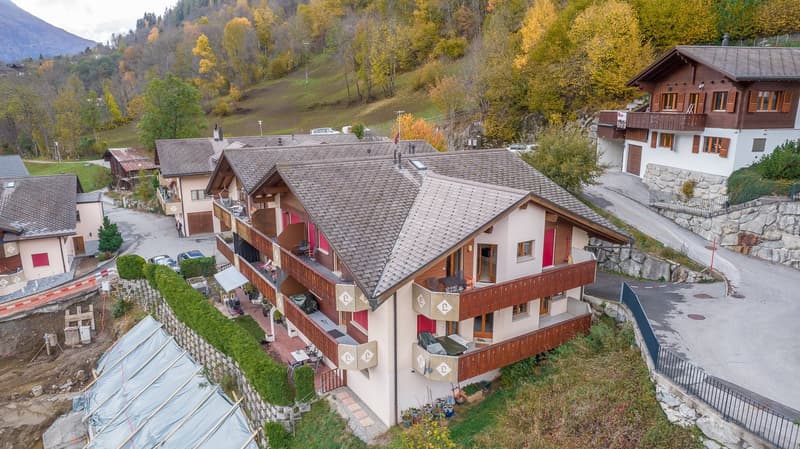 Charmant appartement 1 pièce à vendre à Fiesch - Lehrastrasse 16 (16)