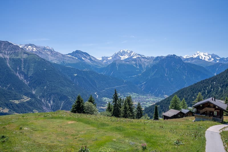 The image shows a breathtaking mountain landscape with snow-capped peaks, lush green meadows, and a small village nestled in the valley below. The scene is framed by tall pine trees in the foreground, and the distant mountains create a stunning backdrop.