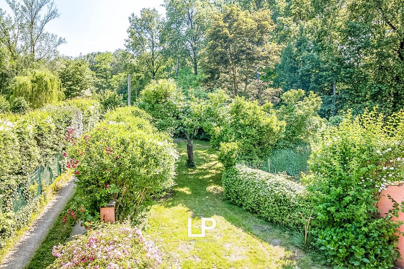 Lush, well-maintained garden with a variety of trees, shrubs, and flowers. A grassy path leads through the garden, surrounded by colorful foliage and blooms. The garden appears to be a peaceful and tranquil outdoor space.