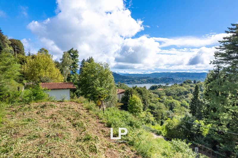Plot of land overlooking a lake, green vegetation