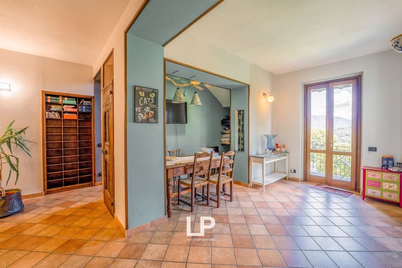 Dining area with wooden table and chairs, bookshelf, large bookshelf with shelves, tiled floor, blue walls, glass door leading to terrace, ceiling lamps, picture frame, table with vase, mounted TV, decorative objects, outdoor view through the door