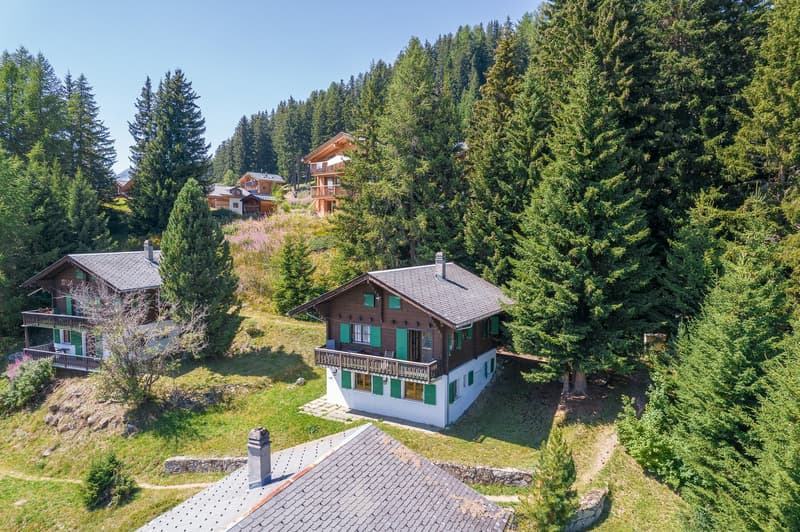 Mountain house, brown and white exterior, several houses, surrounded by tall trees, balcony, multiple windows, located on a slope