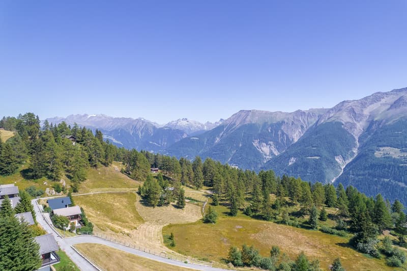 Multiple chalets, lush greenery, mountain views, winding driveway, natural landscape, expansive hillside