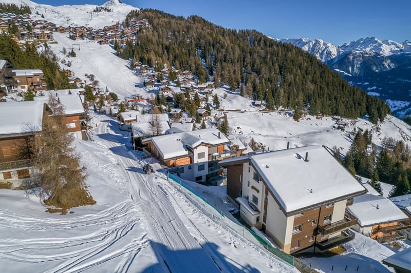 Charmant appartement 3.5 pièces avec vue sur les montagnes à Bettmeralp (6)