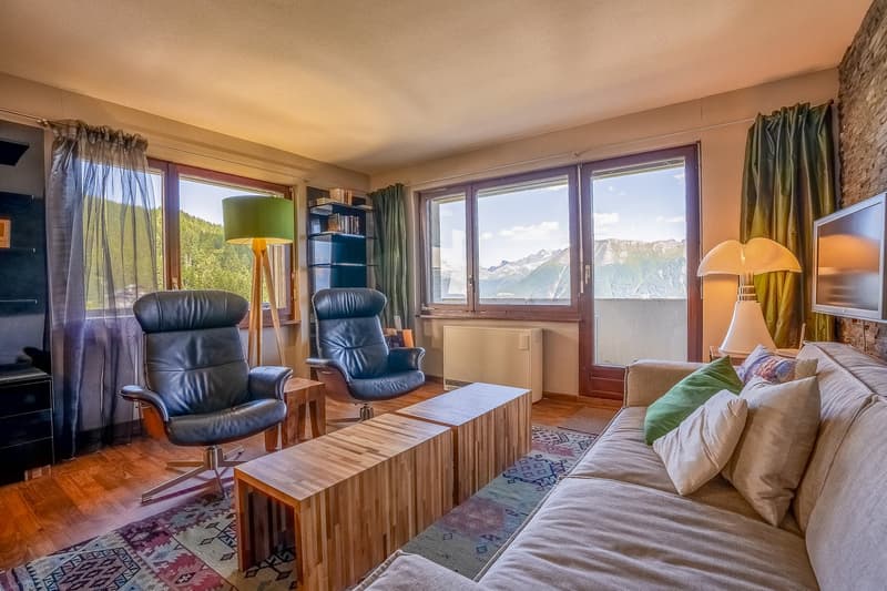 two leather armchairs, coffee table, sofa, carpets, glass windows, bookshelves, lamps, flat screen TV