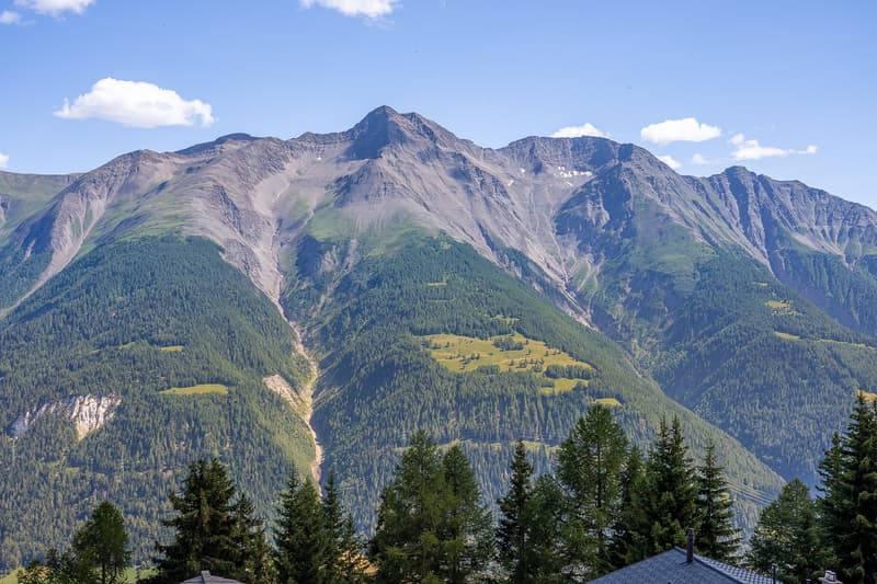 Charmant appartement 3.5 pièces avec vue sur les montagnes à Bettmeralp (28)