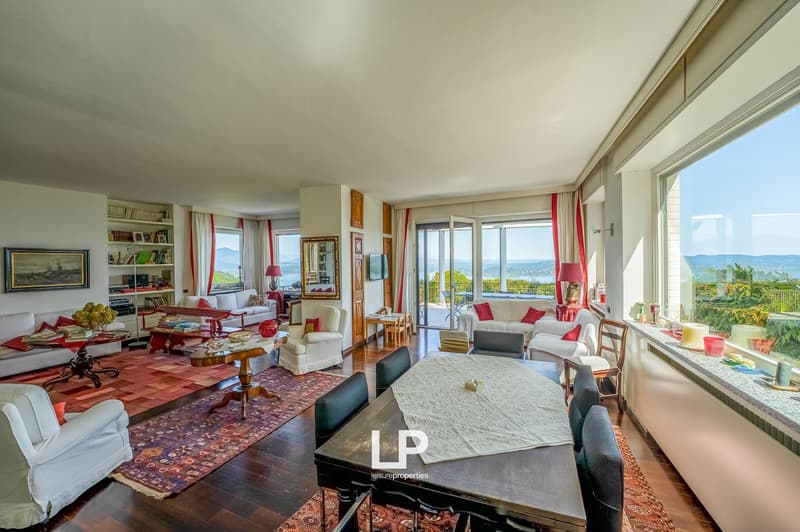 large open room with couches, table, carpet, fireplace, bookcases, glass windows, balcony