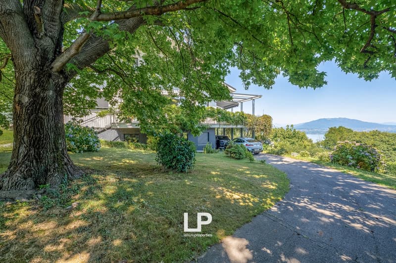 large house, garage, green garden, car parked, mountains in the distance