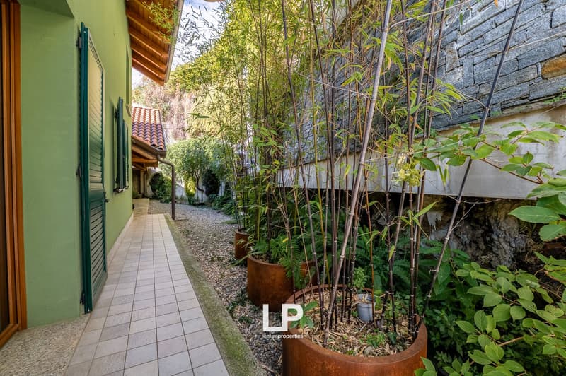 Tiled pathway, large potted bamboo plants, stone wall, greenery