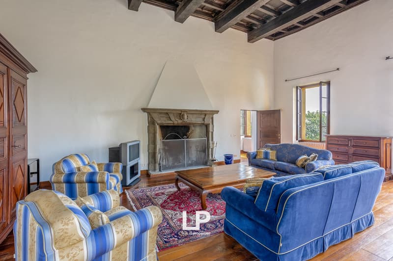 hardwood floor, fireplace, blue and white sofas, wooden coffee table, area rug, TV, cabinet, blue vase