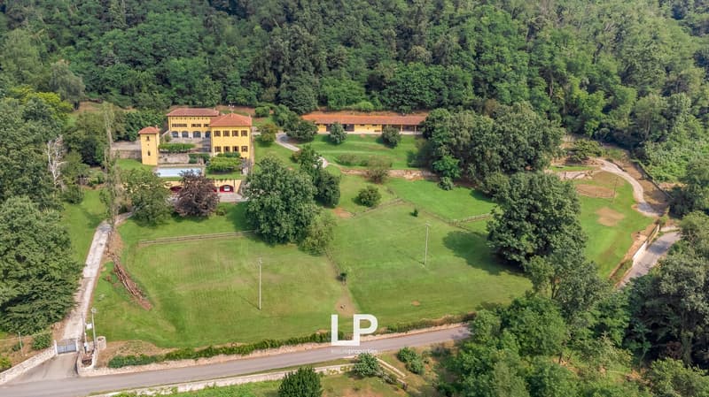 Manor house, swimming pool, vast grassy land, farm, surrounded by dense forest