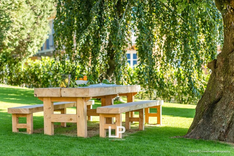 Outdoor dining table with benches and fruit bowl, green grass, tree, sunny day