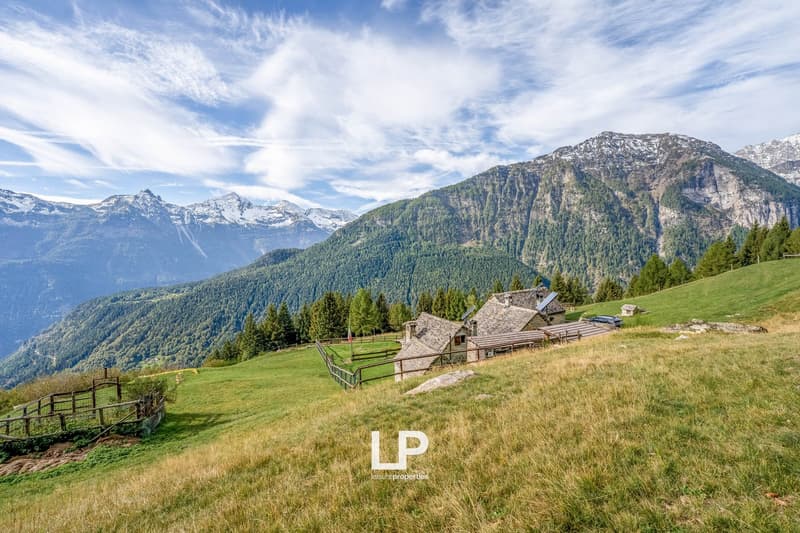 Chalet Varzo (14)