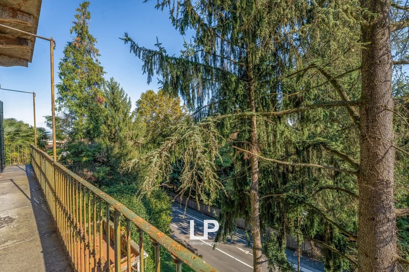 Outdoor balcony with railings, overlooking lush greenery and a road.