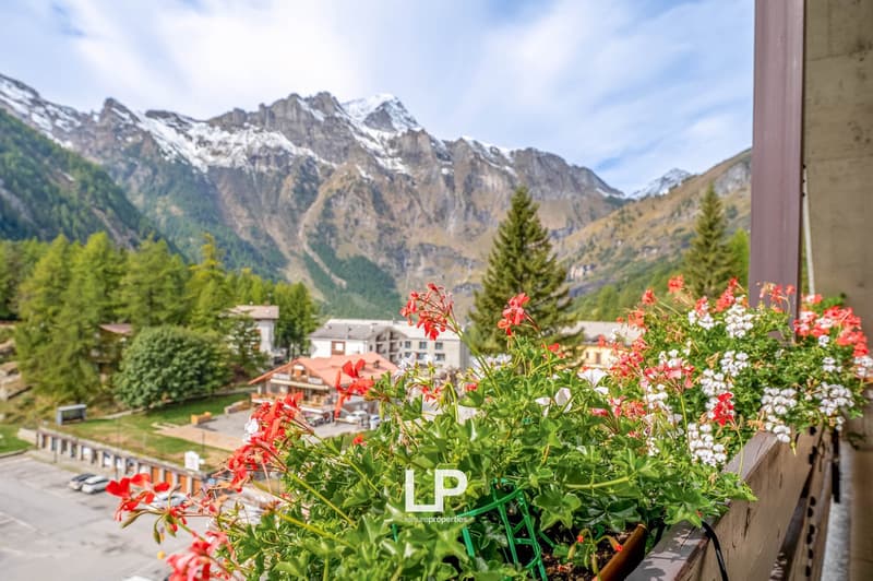 Terrace with flowers, scenic mountain view