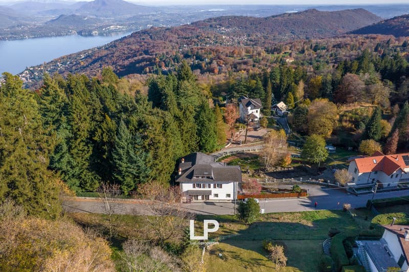 Aerial view of a hillside residential area with houses, greenery, and a distant lake.