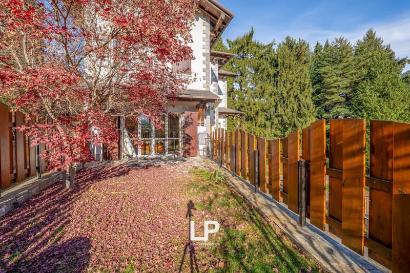 Private garden with fallen leaves, wooden fence, walkway, large tree, house in the background.
