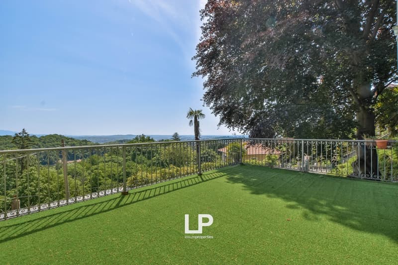 Green artificial grass, metal railings, view of trees and mountains