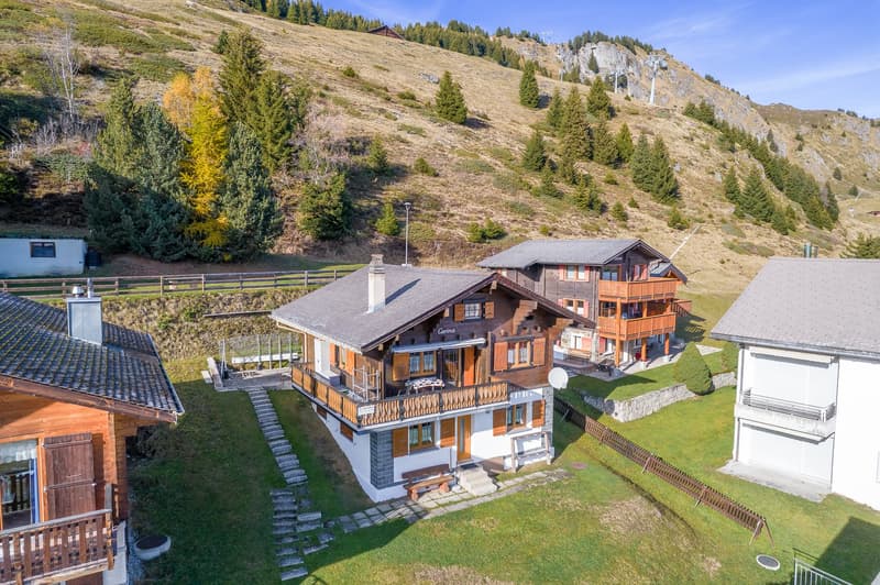Appartamento ski-in/ski-out con terrazza soleggiata e posizione ideale a Riederalp West (2)