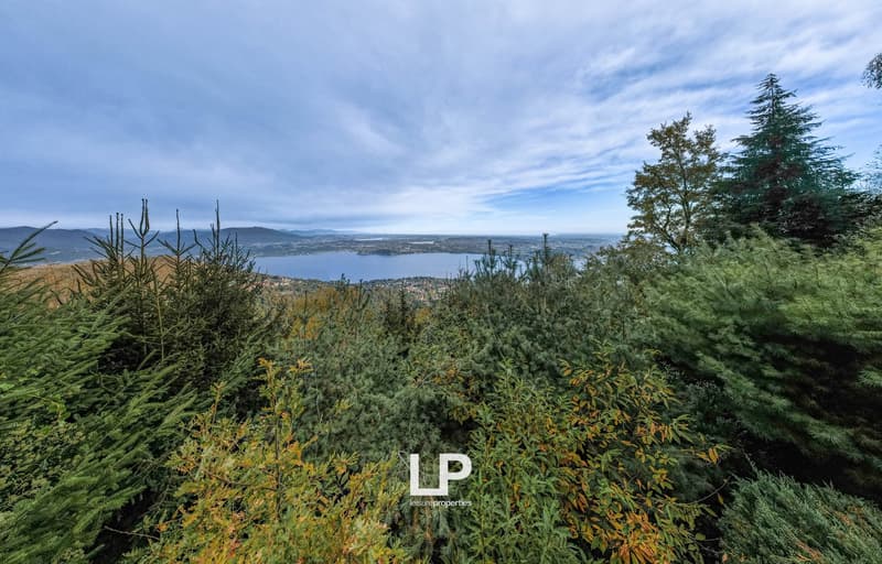 Dense foliage, mountainous area, water body, distant town