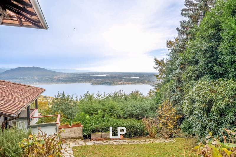 garden with plants and trees, lake in the background, distant mountain range
