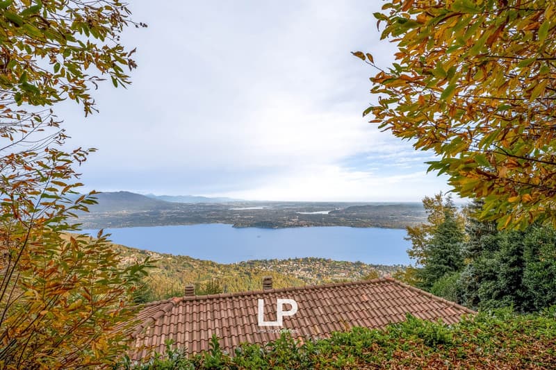 Lake view from elevated position, surrounded by trees and mountains
