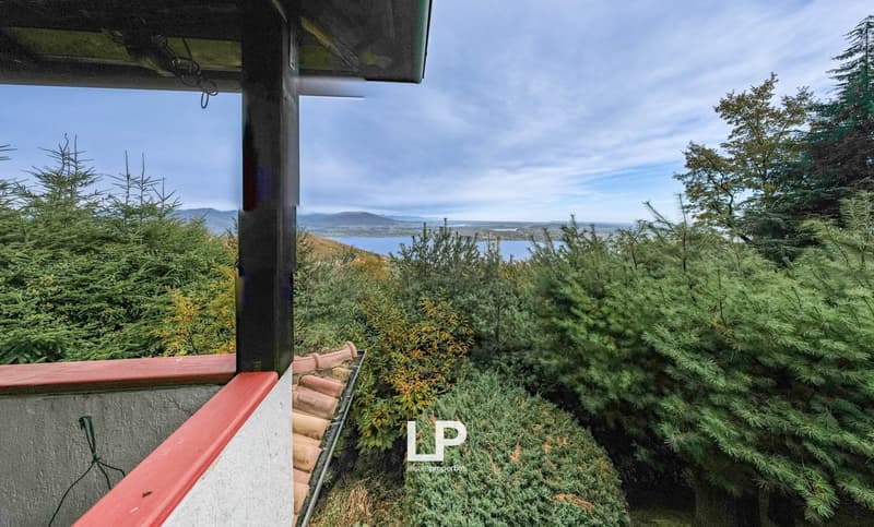 Balcony/terrace overlooking a lake, surrounded by a variety of trees