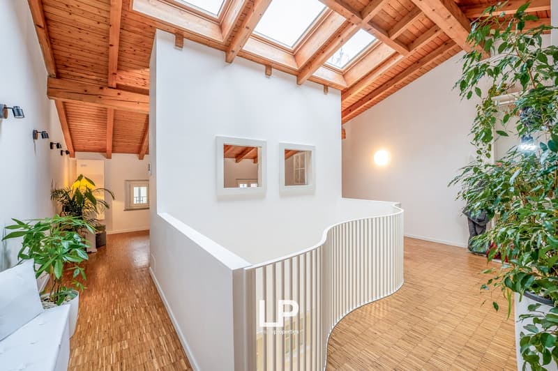 curved white railing, wooden floor, white walls, wooden ceiling with skylights, large indoor plants