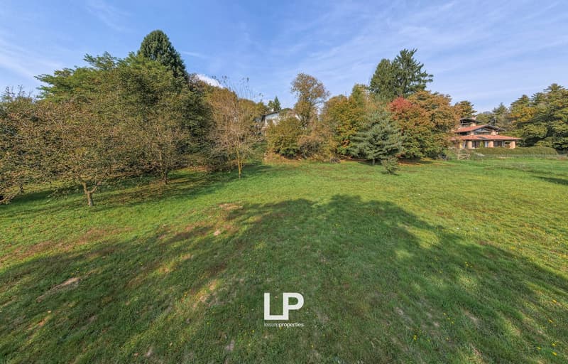 Large grassy field with surrounding trees and bushes, house in the background