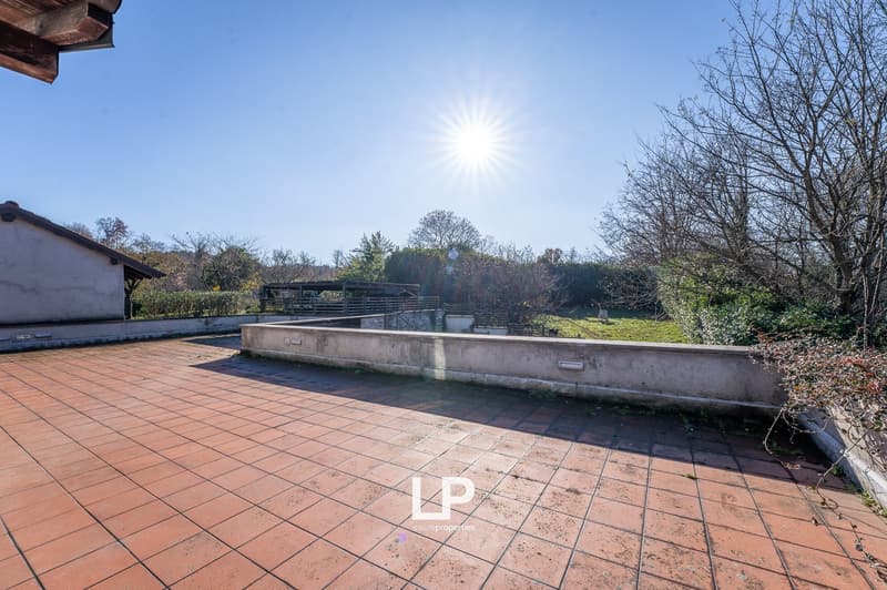 large tiled terrace, wooden house in background, wall, garden with plants and grass