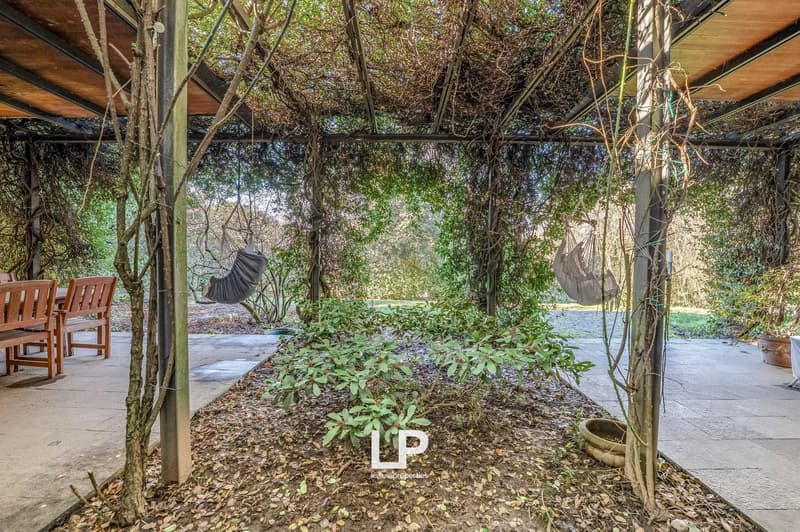 Pergola, garden seating, hanging swings, potted plants, dry leaves