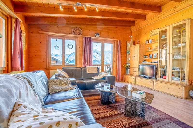 Living room: large leather sofa, coffee table, television, windows, wooden cabinets, radiator, carpet