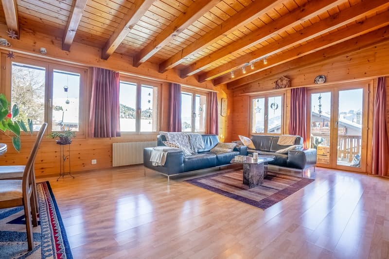 wooden walls, living room, glass door, radiator, L-shaped sofa, coffee table, area rug, table and chairs, potted plants, windows with curtains