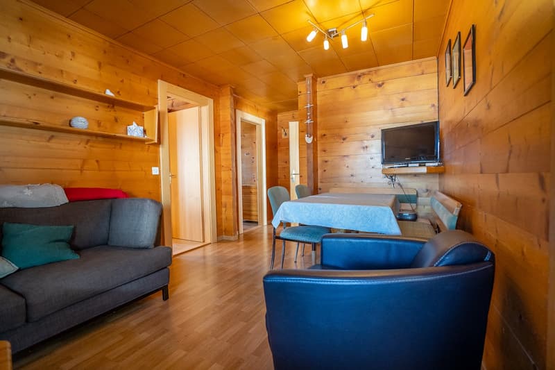 small living room, wooden walls, wooden floor, television, table with 4 chairs, couch with two pillows