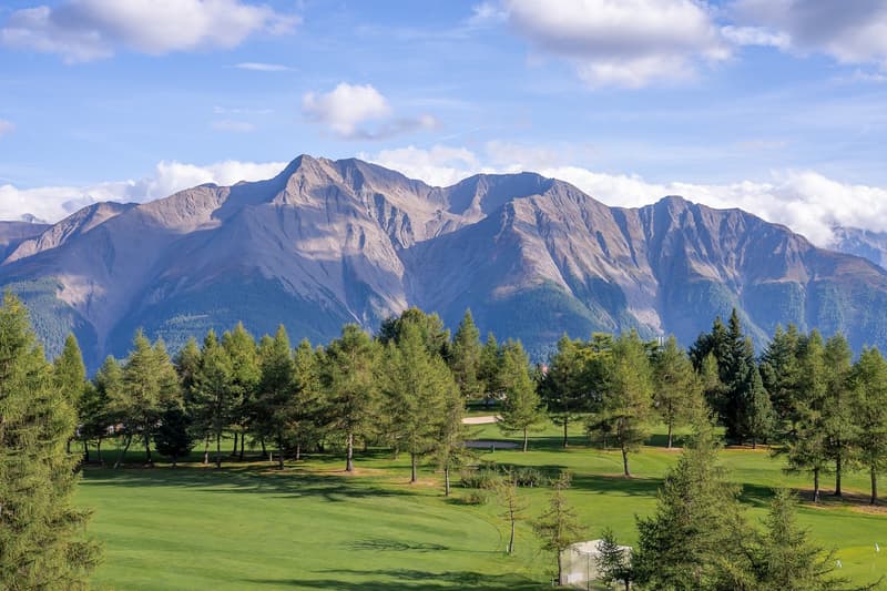 greenery golf course, row of trees, mountain in the distance, clear sky