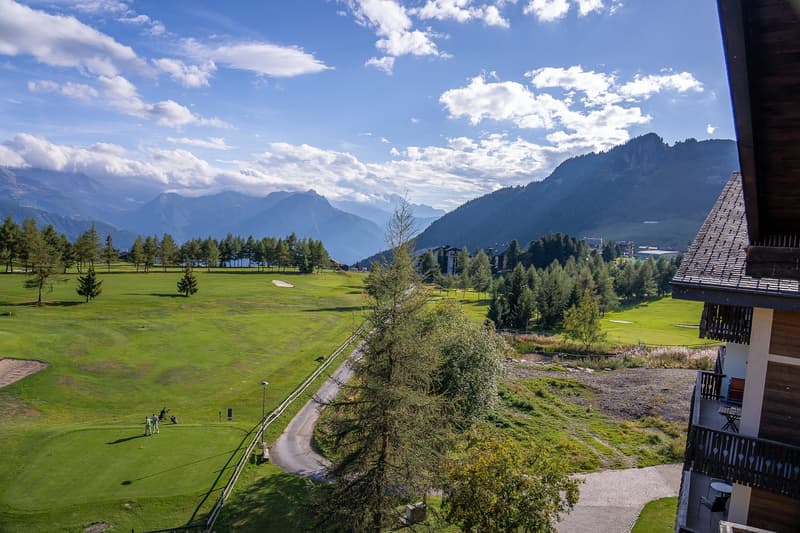 Authentic attic apartment with a view of the golf course and high ceilings (33)